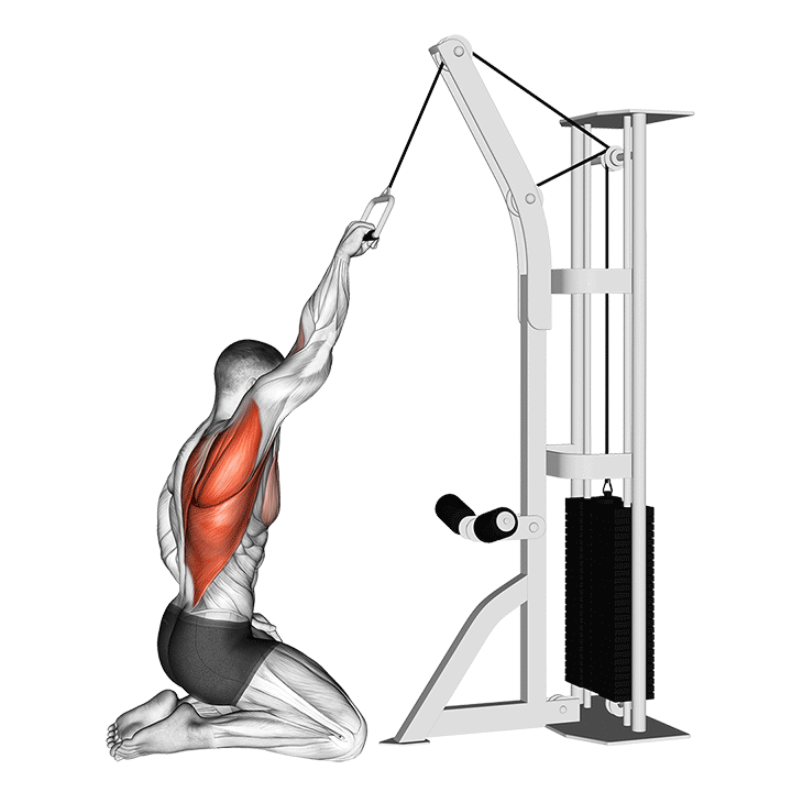 ADAPTACION DE POLEA D — Accesorio de Fuerza | iFocus Fit