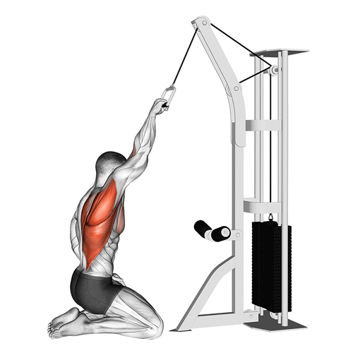 ADAPTACION DE POLEA D — Accesorio de Fuerza | iFocus Fit