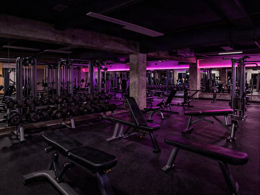 Piso de gimnasio comercial completo con filas de bancos y maquinas, luz violeta